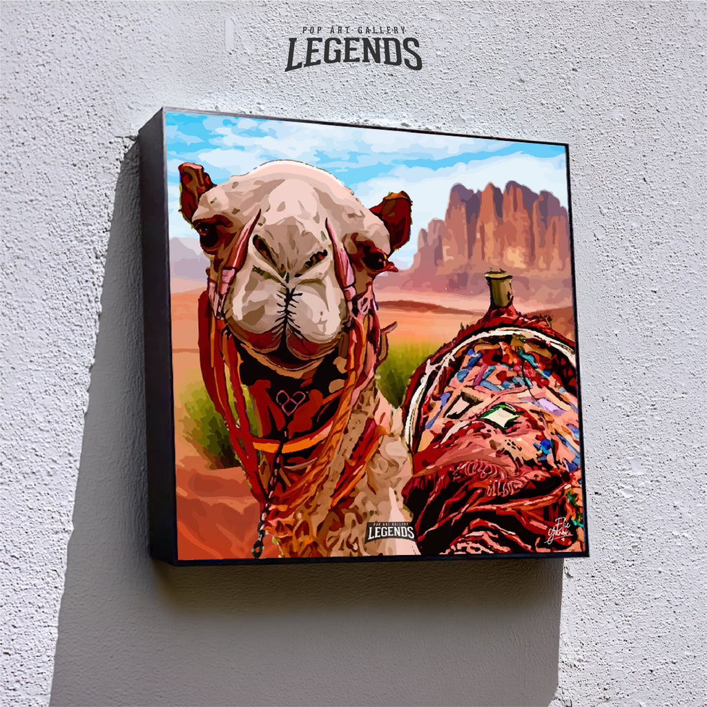 Camel in Wadi rum