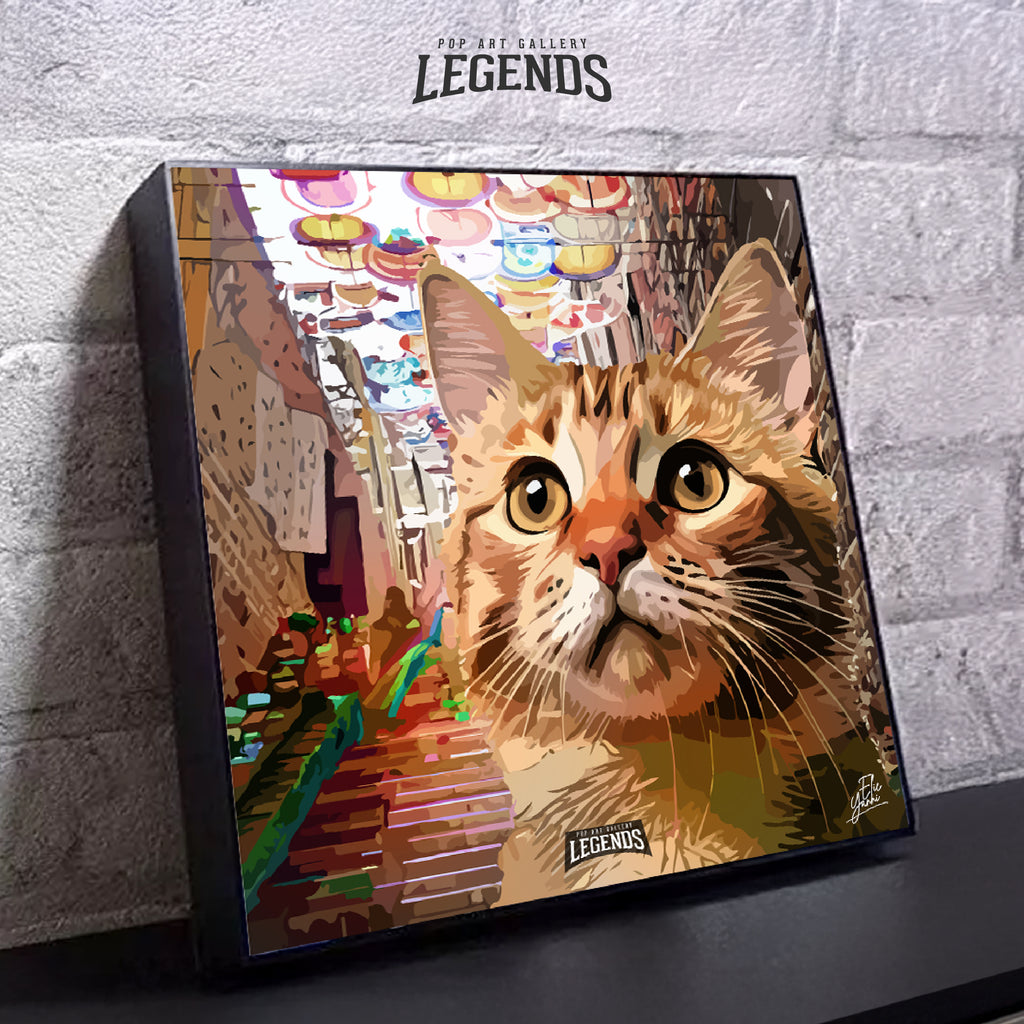 Cat in Downtown